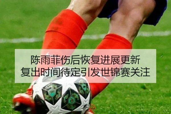 陈雨菲伤后恢复进展更新 复出时间待定引发世锦赛关注
